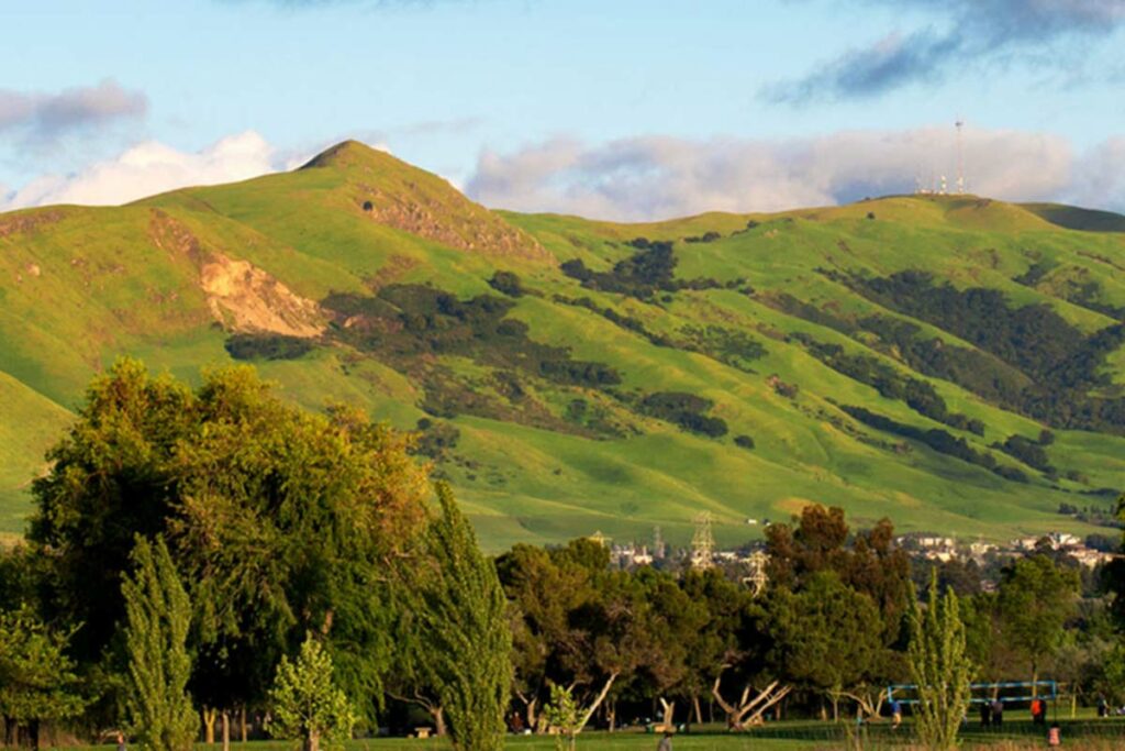 Sundale Apartments picturesque views