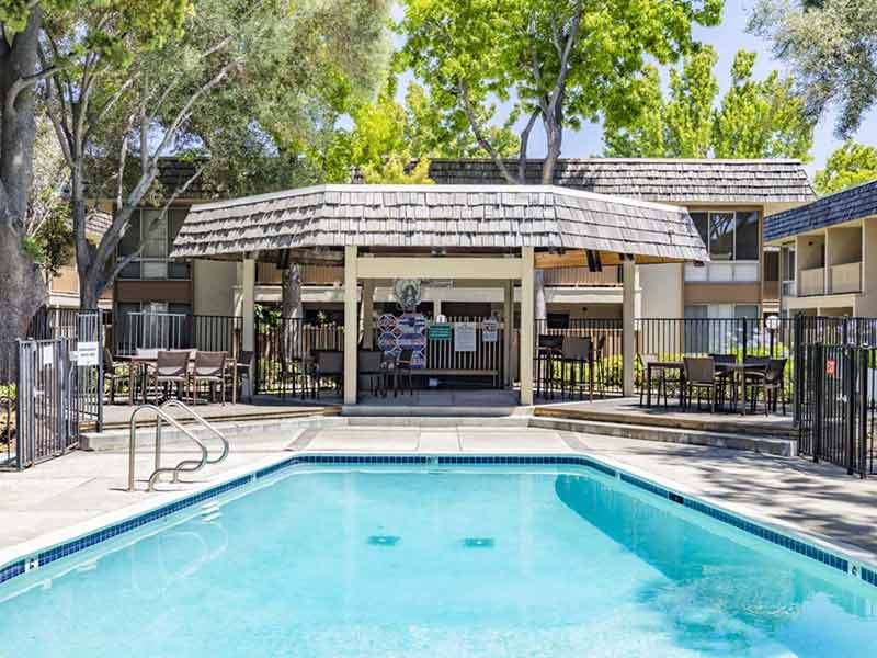 Sundale Apartments swimming pool and lounge area